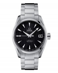 Omega Aqua Terra  Automatic Men's Watch, Stainless Steel, Black Dial, 231.10.39.21.01.001
