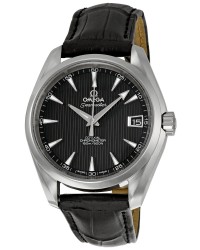 Omega Aqua Terra  Automatic Men's Watch, Stainless Steel, Black Dial, 231.13.39.21.01.001