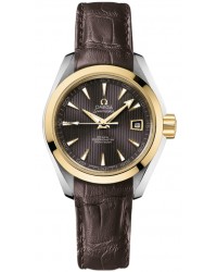 Omega Aqua Terra  Automatic Women's Watch, 18K Yellow Gold, Grey Dial, 231.23.30.20.06.002