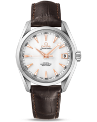 Omega Aqua Terra  Automatic Men's Watch, Stainless Steel, Silver Dial, 231.13.39.21.02.002