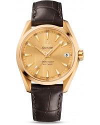 Omega Seamaster  Automatic Men's Watch, 18K Yellow Gold, Champagne Dial, 231.53.39.21.08.001