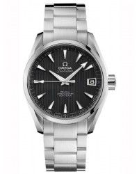 Omega Aqua Terra  Automatic Men's Watch, Stainless Steel, Grey Dial, 231.10.39.21.06.001