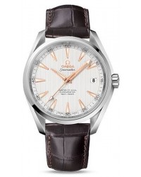 Omega Aqua Terra  Automatic Men's Watch, Stainless Steel, Silver Dial, 231.13.42.21.02.003